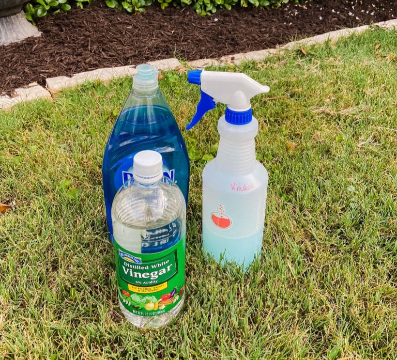 Best Solution For Cleaning Outside Windows
